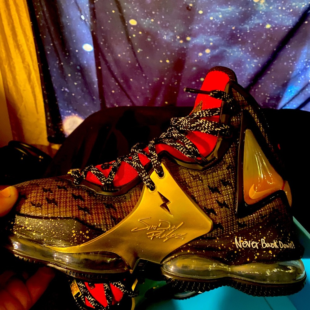 Nike Labron 19 dornbecher